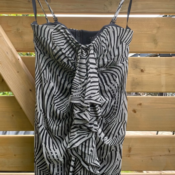 Ted Baker Silk Print Emidius Zebra Dress - Picture 9 of 11